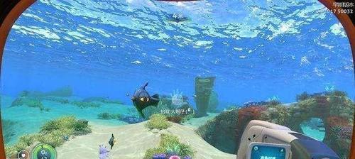 深海迷航之美丽水世界——圈圈鱼属性介绍（探索神秘海底世界）