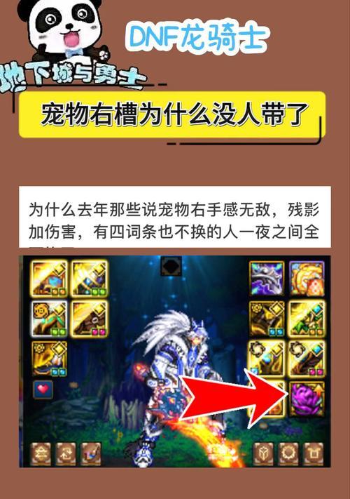 地下城宠物掉落机制是什么？