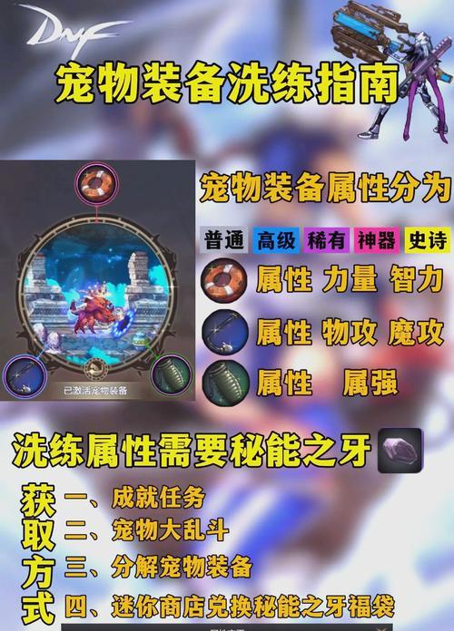dnf落日骑士适合搭配哪些宠物？宠物选择有什么讲究？