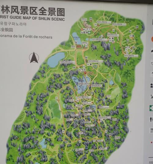 宝石丛林入口在哪里？