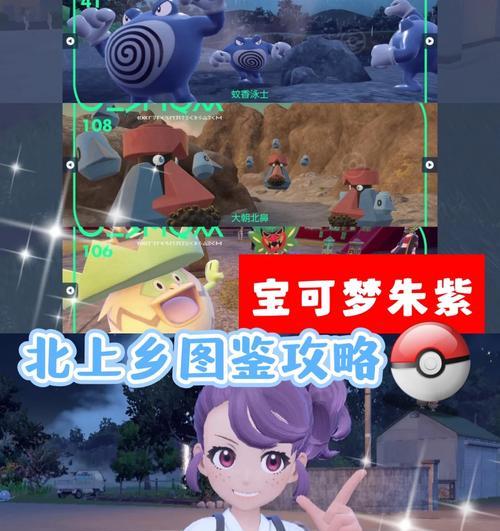 口袋妖怪朱中如何查看名字和等级？操作步骤是什么？