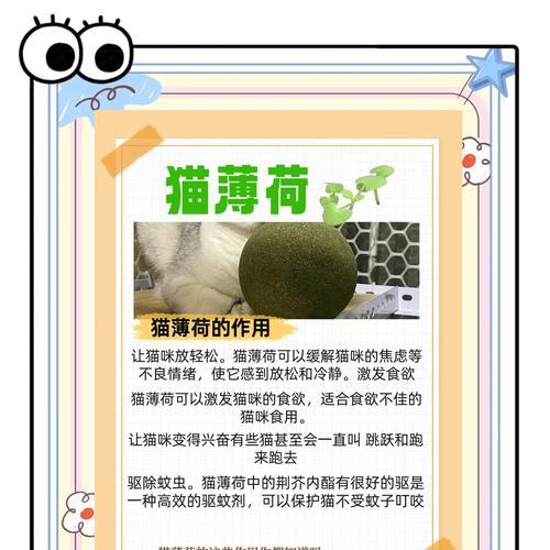 《小森生活猫薄荷》（探寻猫薄荷的获得方式）