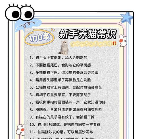 《小森生活》中的猫咪领养攻略（以游戏为主）
