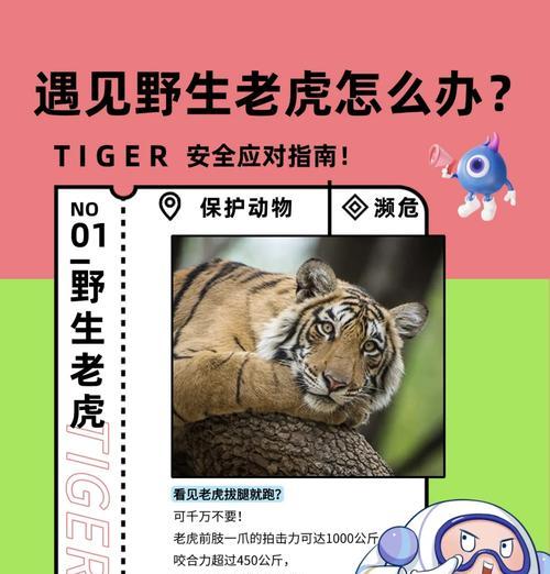 问道老虎任务步骤是什么？完成老虎任务的秘诀在哪里？
