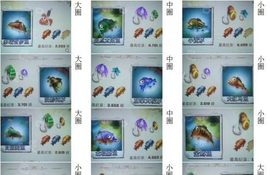 《神武手游幻境寻宝技巧攻略——绝密宝藏等你来探寻》（解锁游戏新玩法）